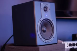 Rekomendasi Subwoofer 12 Inch Murah Berkualitas