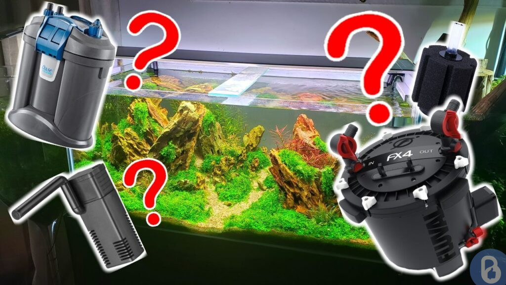 5 Rekomendasi Filter Aquarium Terbaik yang Wajib Kamu Miliki best