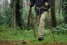 Tips Memilih Trekking Pole Terbaik